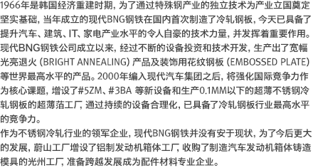 1966年是韩国经济重建时期，为了通过特殊钢产业的独立技术为产业立国奠定坚实基础，当年成立的现代BNG钢铁在国内首次制造了冷轧钢板，今天已具备了提升汽车、建筑、IT、家电产业水平的令人自豪的技术力量，并发挥着重要作用。现代BNG钢铁公司成立以来，经过不断的设备投资和技术开发，生产出了宽幅光亮退火（ Bright Annealing ）产品及装饰用花纹钢板（ Embossed Plate ）等世界最高水平的产品。2000年编入现代汽车集团之后，将强化国际竞争力作为核心课题，增设了#5ZM、#3BA 等新设备和生产0.1mm以下的超薄不锈钢冷轧钢板的超薄萡工厂，通过持续的设备合理化，已具备了冷轧钢板行业最高水平的竞争力。作为不锈钢冷轧行业的领军企业，现代BNG钢铁并没有安于现状，为了今后更大的发展，蔚山工厂增设了铝制发动机箱体工厂，收购了制造汽车发动机箱体铸造模具的光州工厂，准备跨越发展成为配件材料专业企业。