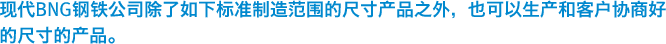 现代BNG钢铁公司除了如下标准制造范围的尺寸产品之外，也可以生产和客户协商好的尺寸的产品。