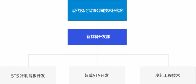 现代BNG钢铁公司技术研究所 - 新材料开发部 - 1) STS 冷轧钢板开发 2) 超薄STS开发 3) 冷轧工程技术