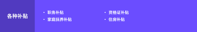 各种补贴 : 职务补贴, 家庭抚养补贴, 资格证补贴, 住房补贴