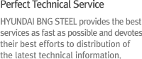 HYUNDAI BNG STEEL provides the best services as fast as possible and devotes their best efforts to distribution of the latest technical information.