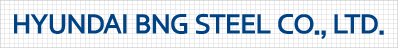 HYUNDAI BNG STEEL Applied Regulation for Logo Type -  English legal name image