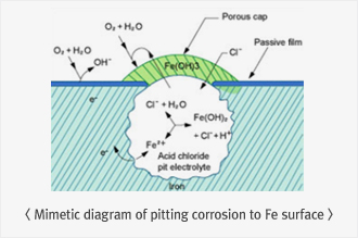 Mimetic diagram of pitting corrosion to Fe surface