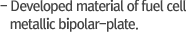 Developed material of fuel cell metallic bipolar-plate