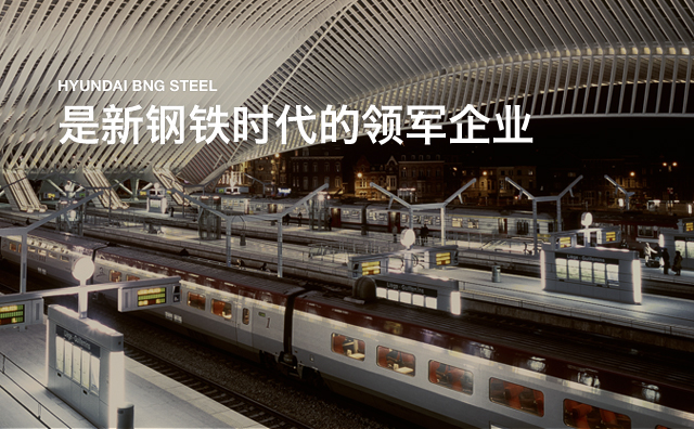 是新钢铁时代的领军企业